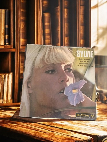 Disque vinyle tours sylvie - disque, 45