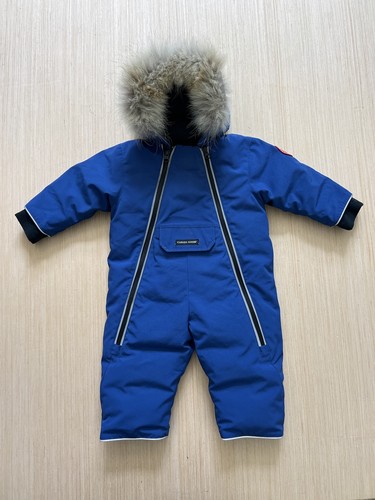 Canada goose baby - canada,