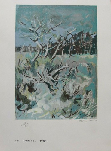 Les derniers pins - derniers, gaston
