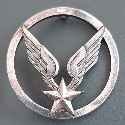 Insigne béret alat - insigne, drago