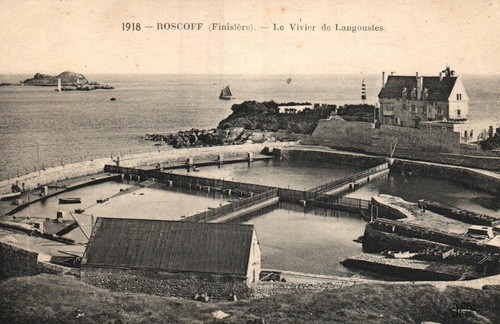 Cpa roscoff - 29, (finistère)