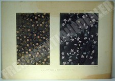 ESTAMPE COULEUR ART NOUVEAU