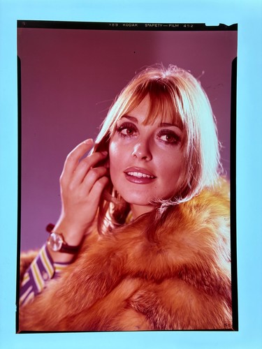 Rare sharon tate original 5x7 - original,
