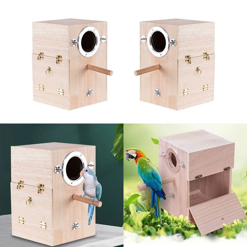 Boîte élevage perroquet - boîte, de