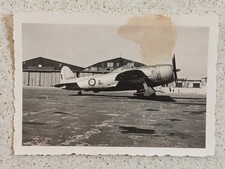 photo ALGERIE Aéroport ORAN 1948 Armée France Republic F-47 /P-47 "Thunderbolt"2