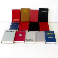 lot  13 livres romans grand