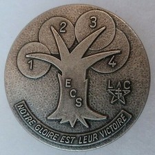 Insigne 1° RS Régiment de