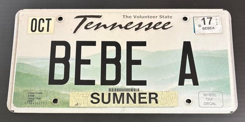 Tennessee vanity license plate - license,