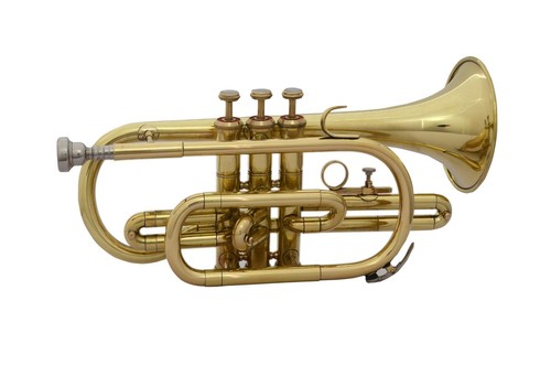 Coque rigide sans - sans, neuve