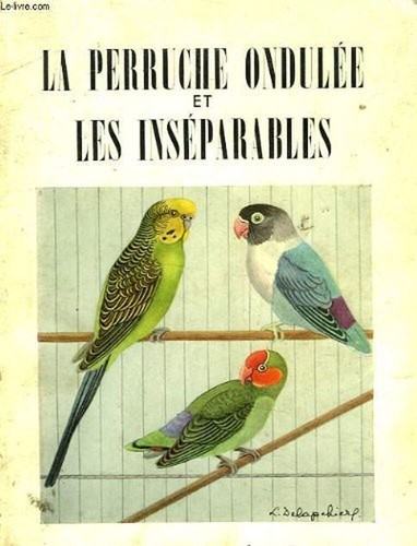Perruche ondulée les - perruche,