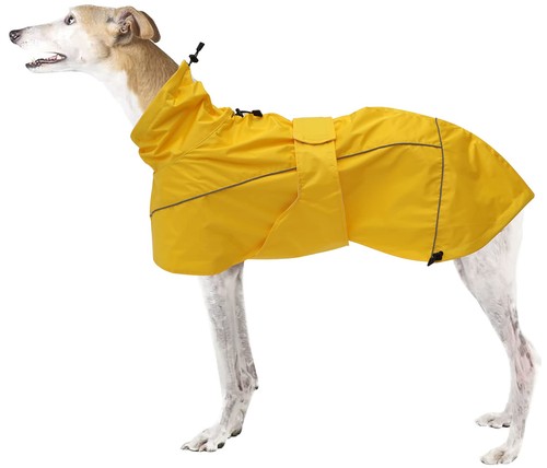 Manteau pluie greyhound - pluie,