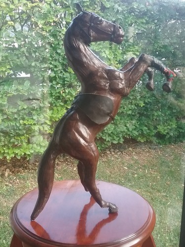 Cheval cuir marron - cuir, avec