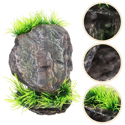 Décoration terrarium - décoration, de