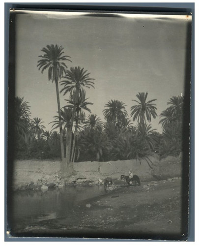 Algérie abreuvoir du - l'abreuvoir,