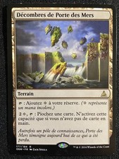 CARTE MAGIC RARE TERRAIN