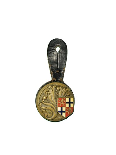 Pucelle insigne intendance - pucelle,