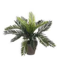 Mica Decorations Plante