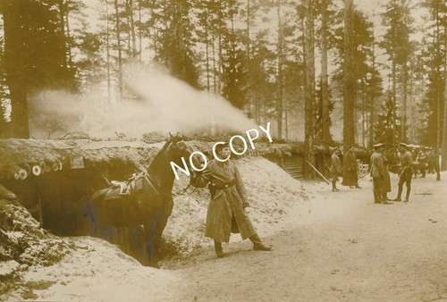 Photo abris pour chevaux - wk, i