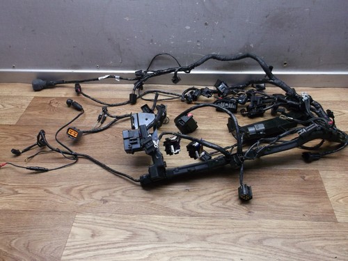 Triumph daytona 675 h67 - 675, /