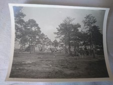 ANCIENNE PHOTO ORIGINALE