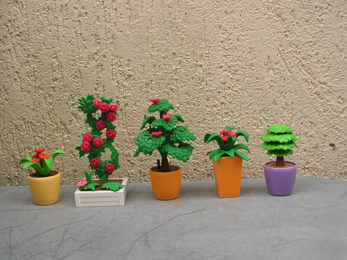 Playmobil bac avec rosier - :, +