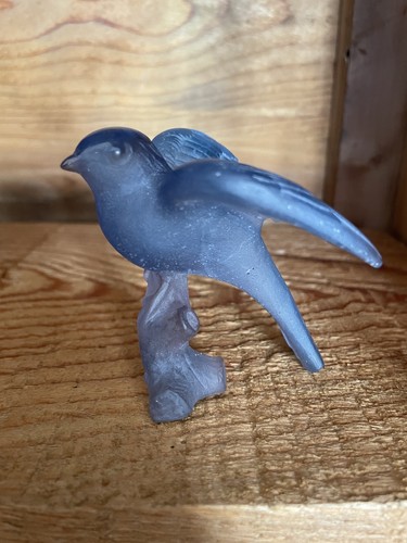 Oiseau mesange pâte de - oiseau,