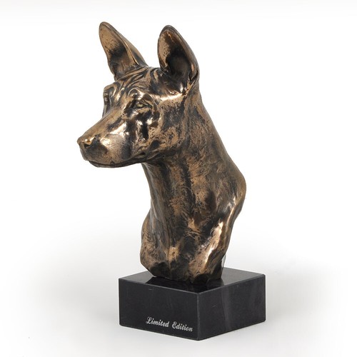 Basenji tête sur pierre - basenji,