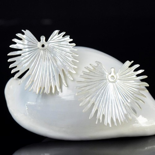 étoile éventail palmier - Éventail,