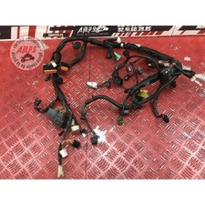 Faisceau électrique principale Suzuki SVF 650 Gladius 2009 à 2015