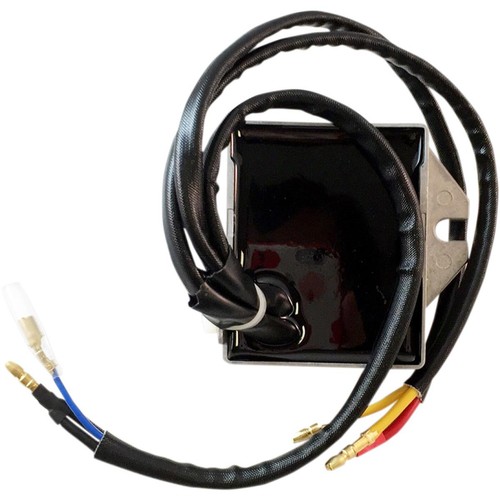 Ricks motorsport electric - ricks,