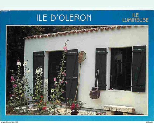 Carte postale ile - -,