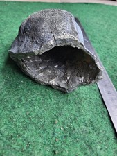 Géode Naturelle Pyrite  Cristaux Mineraux