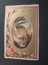 Chromo sans marque - la hyene