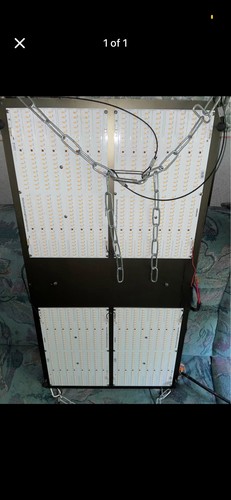 Horticulture lighting group - lighting,