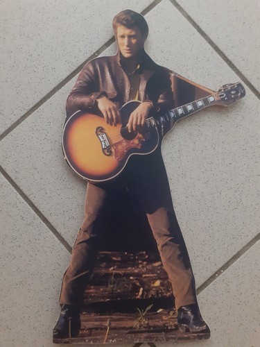 Johnny hallyday plv - ,