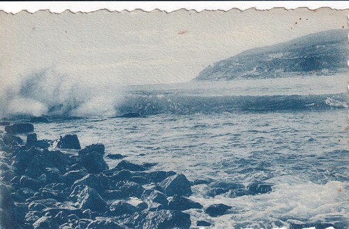 Carte postale postcard - 🦬carte,