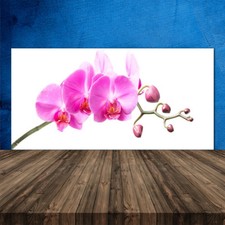 Crédence de cuisine en verre