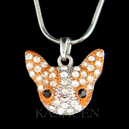 Collier chien chihuahua chi - de,