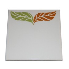 Carreau de carrelage en