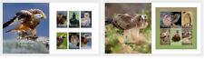 Gibraltar 2024 bird prey Eagle Vulture Scops Owl Black Kite Kestrel 6v +ms6v PAK