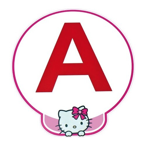 Jeune conducteur apprenti - jeune,