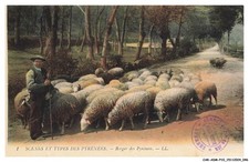 CAR-ADMP10-0715-65 - SCENES ET TYPES DES PYRENEES - Berger des pyrénees