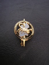 Insigne Aguerrissement zone désertique Djibouti