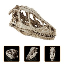 Modèle de crâne de dinosaure