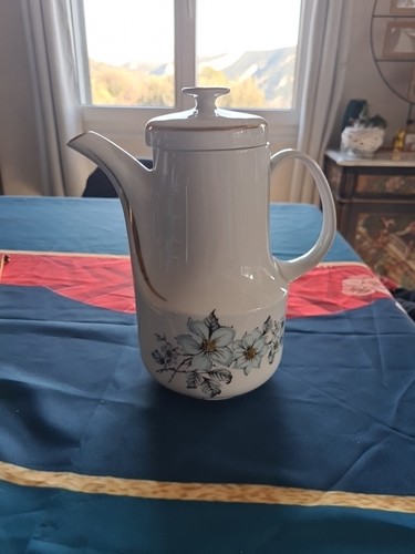 Hirondelle mehun porcelaine - l'hirondelle,