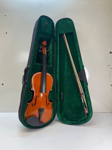 Violon complet dans sa - 4/4,