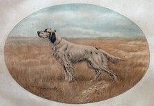 DANCHIN Léon lithographie couleur  setter à  l'arrêt -  rare etching n° 48/300