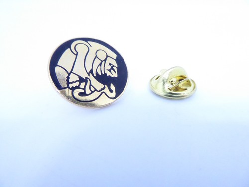 Pin pins badge - pin's,