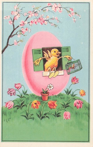 Illustree poussin sort - illustree,