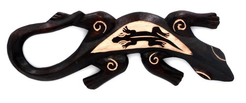 Salamandre margouillat gecko - margouillat,